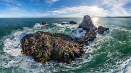 Камень Козлова — островок-лежбище сивучей Камень Козлова — островок-лежбище сивучей