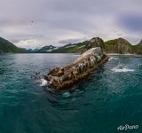 Сивучи на мысе Кекурный Сивучи на мысе Кекурный