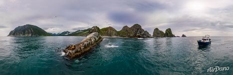 Сивучи на мысе Кекурный Сивучи на мысе Кекурный