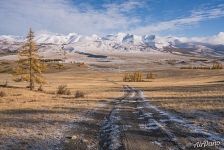 Курай Курай