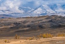 Курай Курай