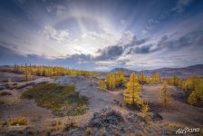 Курай Курай