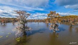 Осень на озере в Техасе