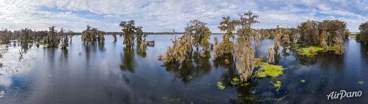 Кипарисовое озеро в Луизианне