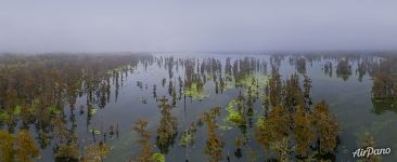 На краю тумана На краю тумана