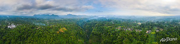 Индонезийские джунгли