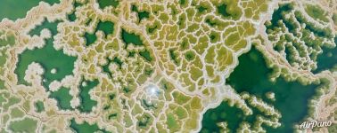 Мертвое море Мертвое море
