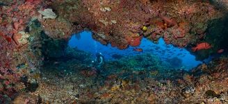 Подводная панорама. Комодо