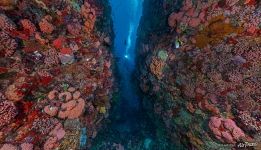В подводной пещере