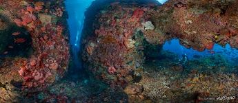 Подводный мир Комодо