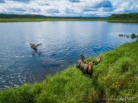 Кроноцкое озеро, Камчатка