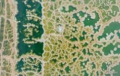 Мертвое море, Израиль Мертвое море, Израиль