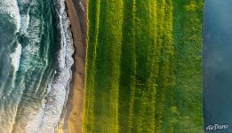Семячикская коса. Восточное побережье Камчатского полуострова. Берингово море Семячикская коса. Восточное побережье Камчатского полуострова. Берингово море