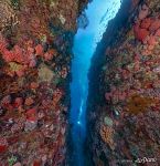 Подводная пещера, Комодо, Индонезия Подводная пещера, Комодо, Индонезия