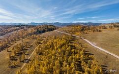 Пазырыкские курганы Пазырыкские курганы
