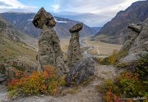 Каменные грибы в долине реки Чулышман