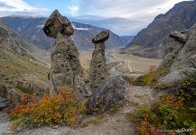 Каменные грибы в долине реки Чулышман Каменные грибы в долине реки Чулышман