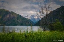 Озеро Сары-Челек Озеро Сары-Челек