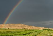 Памирский тракт Памирский тракт