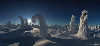 Зимний лес при лунном свете. Панорама. Кунтиваара Зимний лес при лунном свете. Панорама. Кунтиваара