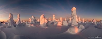 Панорама зимнего леса на восходе. Кунтиваара