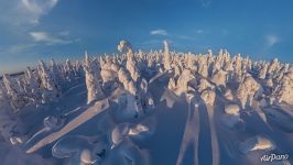 Зимний лес на холме Кунтиваара Зимний лес на холме Кунтиваара