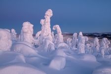 Лес на вершине холма Кунтиваара после заката