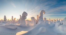 Панорама утренней зимней сказки