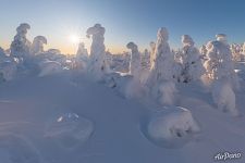 Кунтиваара Кунтиваара