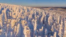 Зимний лес. Кунтиваара Зимний лес. Кунтиваара