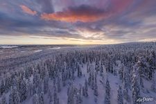 У вершины Konttainen У вершины Konttainen