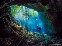 Подводный мангровый лес, пещера