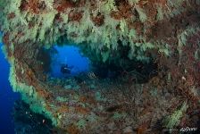 Южные Мальдивы. Fotteyo underwater overhangs (Hurahu Kandu)