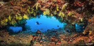 Южные Мальдивы. Fotteyo underwater overhangs (Hurahu Kandu)