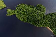 Водлозеро, остров Палостров Водлозеро, остров Палостров