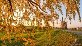 Ветряная мельница в деревне Ямка Ветряная мельница в деревне Ямка