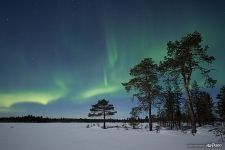 Северное сияние на Кольском полуострове Северное сияние на Кольском полуострове