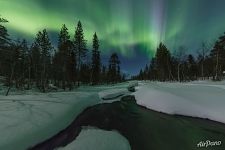На берегу зимней речки ночью На берегу зимней речки ночью