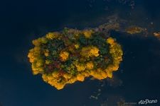 Остров в Онежском озере Остров в Онежском озере