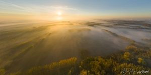 Золотые листья и белое одеяло: осень скоро закончится