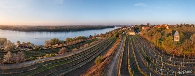 Виноградники Пакша Виноградники Пакша