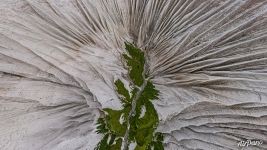 Белые скалы Итурупа Белые скалы Итурупа