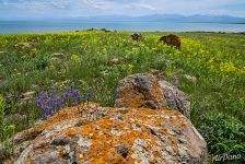 Ландшафты озера Севан Ландшафты озера Севан
