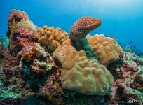 Под водой