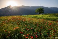 Природа Армении
