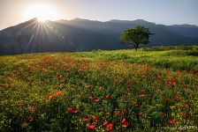 Природа Армении Природа Армении