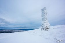 Одинокий столб