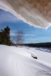 Река Печора, Шежим-Печорский кордон 3 Река Печора, Шежим-Печорский кордон 3