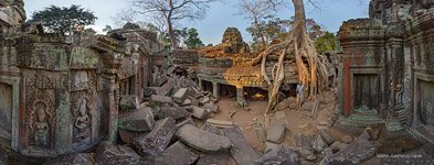 Ta Prohm temple #20