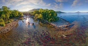 Медвежий край Медвежий край